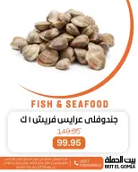 الانتقال إلى الصفحة 18 من 19