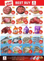 الانتقال إلى الصفحة 4 من 43