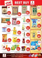 الانتقال إلى الصفحة 10 من 43