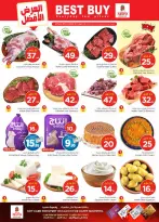 الانتقال إلى الصفحة 4 من 42