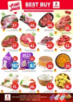 الانتقال إلى الصفحة 4 من 46