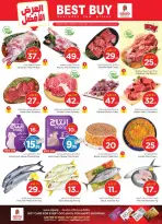 الانتقال إلى الصفحة 4 من 46