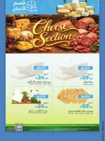 الانتقال إلى الصفحة 12 من 15