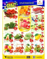 الانتقال إلى الصفحة 16 من 16