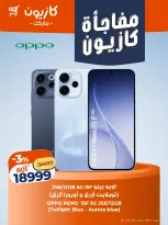 الانتقال إلى الصفحة 3 من 5