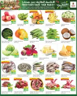 الانتقال إلى الصفحة 5 من 5