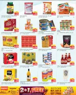 الانتقال إلى الصفحة 3 من 17