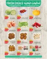 الانتقال إلى الصفحة 2 من 3