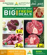 الانتقال إلى الصفحة 3 من 3