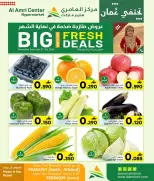 الانتقال إلى الصفحة 2 من 3