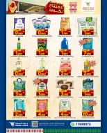 الانتقال إلى الصفحة 17 من 24