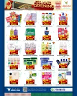 الانتقال إلى الصفحة 16 من 24