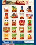 الانتقال إلى الصفحة 18 من 24