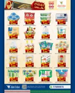 الانتقال إلى الصفحة 21 من 24