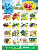 الانتقال إلى الصفحة 4 من 4