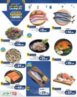 الانتقال إلى الصفحة 4 من 10