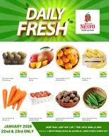 الانتقال إلى الصفحة 1 من 1