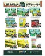 الانتقال إلى الصفحة 14 من 42