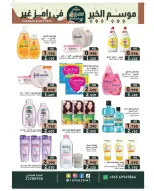 الانتقال إلى الصفحة 17 من 42