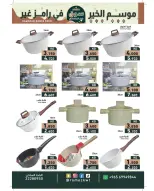 الانتقال إلى الصفحة 28 من 42