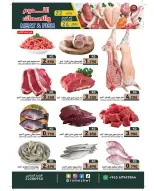 الانتقال إلى الصفحة 3 من 3