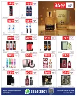 الانتقال إلى الصفحة 11 من 17