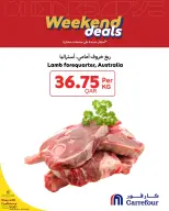 الانتقال إلى الصفحة 6 من 8