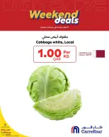 الانتقال إلى الصفحة 7 من 8