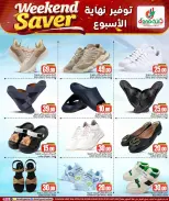 الانتقال إلى الصفحة 13 من 19