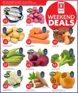 الانتقال إلى الصفحة 2 من 20