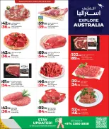 الانتقال إلى الصفحة 2 من 2