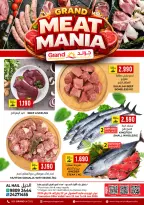 الانتقال إلى الصفحة 3 من 38