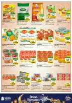 الانتقال إلى الصفحة 15 من 49