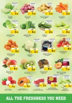 Nesto  Fujairah  Offers from 22 to 25 January Big savings offers