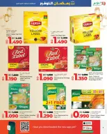 الانتقال إلى الصفحة 41 من 59