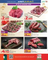 الانتقال إلى الصفحة 29 من 59