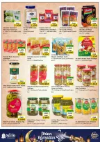 الانتقال إلى الصفحة 13 من 49