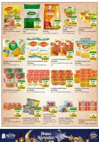 الانتقال إلى الصفحة 15 من 49