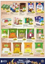 الانتقال إلى الصفحة 16 من 49