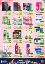 الانتقال إلى الصفحة 23 من 49