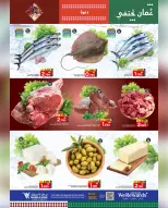 الانتقال إلى الصفحة 24 من 25