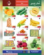 الانتقال إلى الصفحة 25 من 25