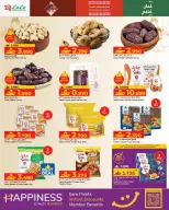 الانتقال إلى الصفحة 22 من 51