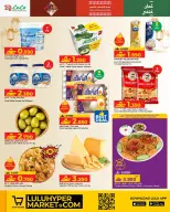 الانتقال إلى الصفحة 28 من 51