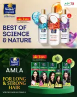 الانتقال إلى الصفحة 31 من 51