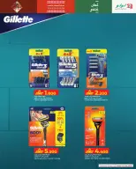 الانتقال إلى الصفحة 37 من 51