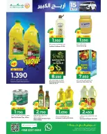 الانتقال إلى الصفحة 40 من 50