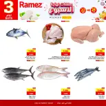 الانتقال إلى الصفحة 5 من 6