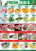 الانتقال إلى الصفحة 10 من 11