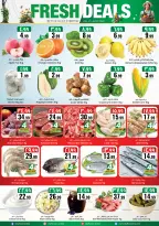 الانتقال إلى الصفحة 11 من 12